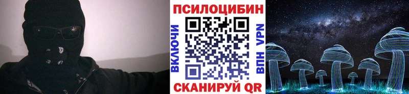 купить закладку  Берёзовка  Псилоцибиновые грибы прущие грибы 